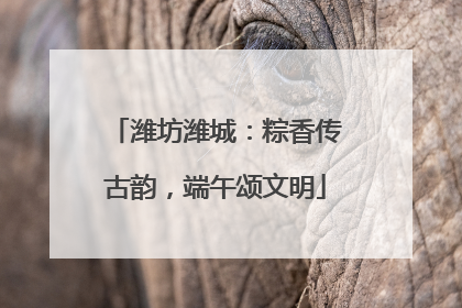 潍坊潍城：粽香传古韵，端午颂文明