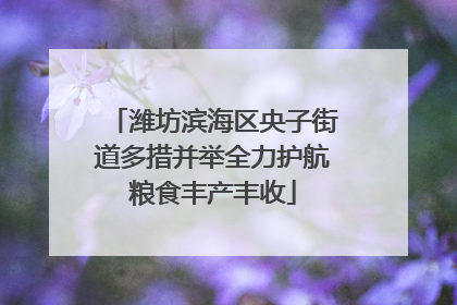 潍坊滨海区央子街道多措并举全力护航粮食丰产丰收