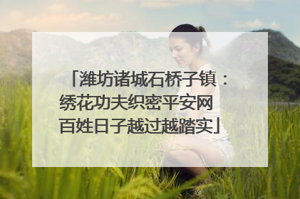 潍坊诸城石桥子镇：绣花功夫织密平安网 百姓日子越过越踏实
