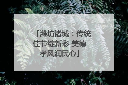 潍坊诸城：传统佳节绽新彩 美德孝风润民心
