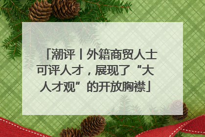 潮评丨外籍商贸人士可评人才，展现了“大人才观”的开放胸襟