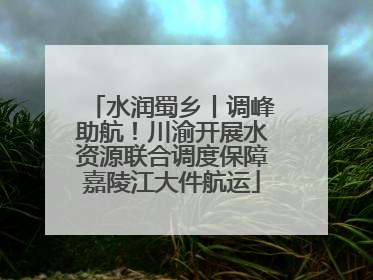 水润蜀乡丨调峰助航！川渝开展水资源联合调度保障嘉陵江大件航运