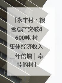 永丰村：粮食总产突破4600吨 村集体经济收入三年倍增｜牵挂的村