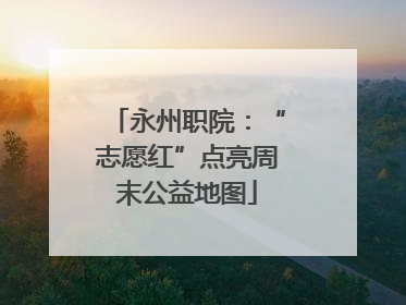 永州职院：“志愿红”点亮周末公益地图