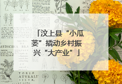 汶上县“小瓜蒌”撬动乡村振兴“大产业”