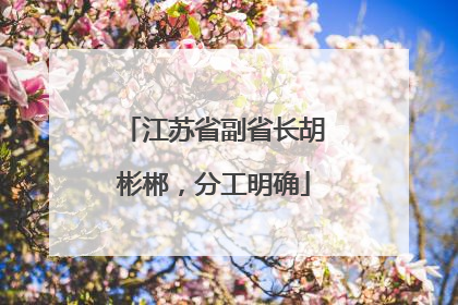 江苏省副省长胡彬郴，分工明确