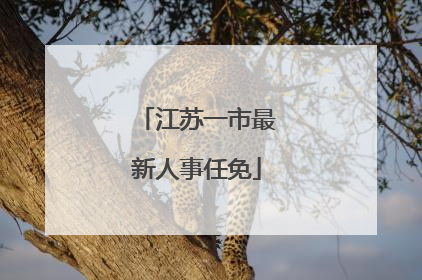 江苏一市最新人事任免