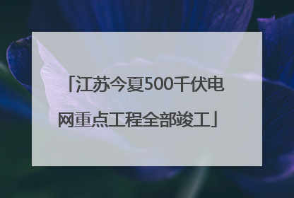 江苏今夏500千伏电网重点工程全部竣工