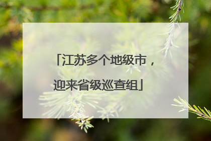 江苏多个地级市，迎来省级巡查组