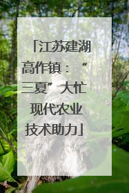 江苏建湖高作镇：“三夏”大忙 现代农业技术助力