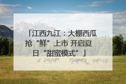 江西九江：大棚西瓜抢“鲜”上市 开启夏日“甜蜜模式”