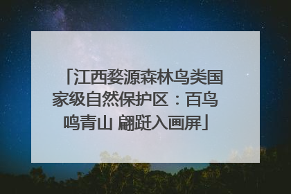 江西婺源森林鸟类国家级自然保护区：百鸟鸣青山 翩跹入画屏