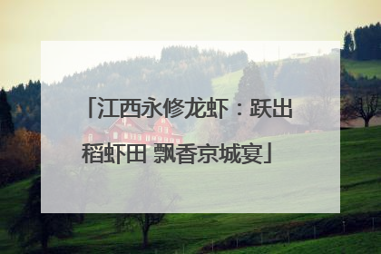 江西永修龙虾：跃出稻虾田 飘香京城宴