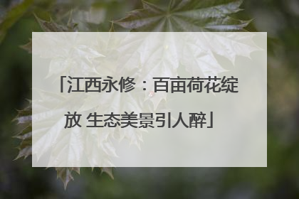 江西永修：百亩荷花绽放 生态美景引人醉