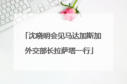 沈晓明会见马达加斯加外交部长拉萨塔一行