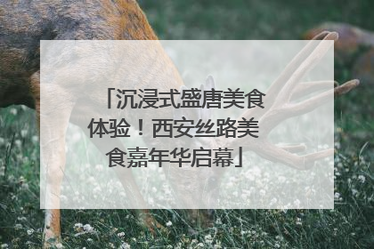 沉浸式盛唐美食体验！西安丝路美食嘉年华启幕