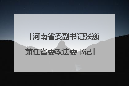 河南省委副书记张巍兼任省委政法委书记