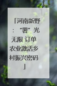 河南新野：“薯”光无限 订单农业激活乡村振兴密码