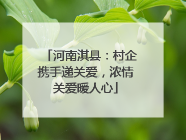 河南淇县：村企携手递关爱，浓情关爱暖人心