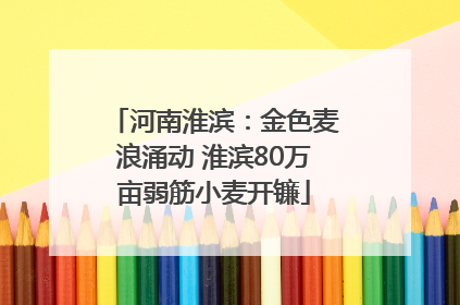 河南淮滨：金色麦浪涌动 淮滨80万亩弱筋小麦开镰