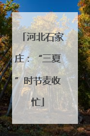 河北石家庄：“三夏”时节麦收忙