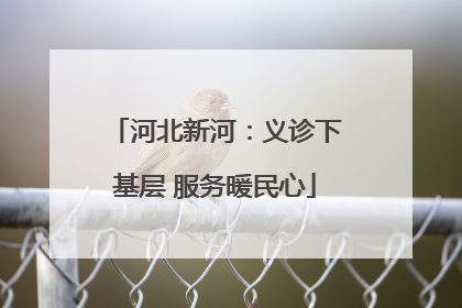 河北新河：义诊下基层 服务暖民心