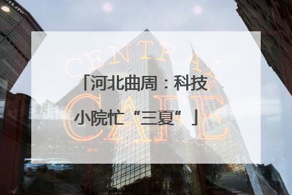 河北曲周：科技小院忙“三夏”