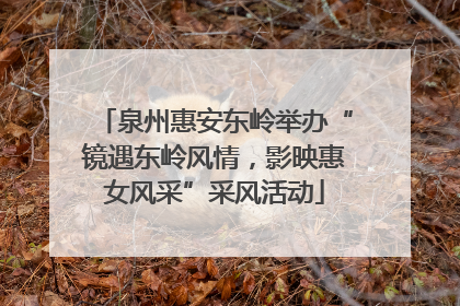 泉州惠安东岭举办“镜遇东岭风情，影映惠女风采”采风活动