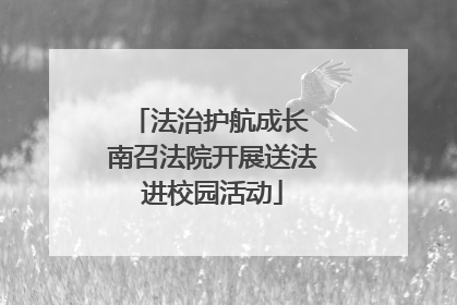 法治护航成长 南召法院开展送法进校园活动