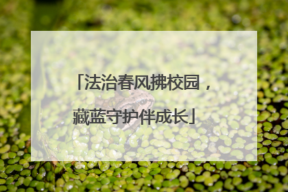 法治春风拂校园，藏蓝守护伴成长