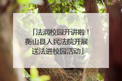 法润校园开讲啦！衡山县人民法院开展 送法进校园活动