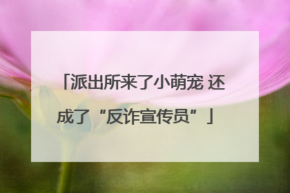 派出所来了小萌宠 还成了“反诈宣传员”