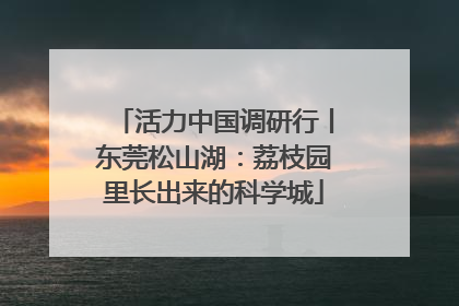 活力中国调研行丨东莞松山湖：荔枝园里长出来的科学城