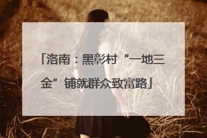 洛南：黑彰村“一地三金”铺就群众致富路
