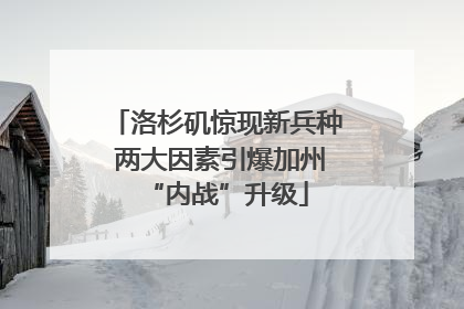 洛杉矶惊现新兵种 两大因素引爆加州“内战”升级