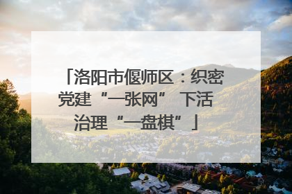 洛阳市偃师区：织密党建“一张网” 下活治理“一盘棋”