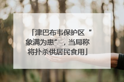津巴布韦保护区“象满为患”，当局称将扑杀供居民食用