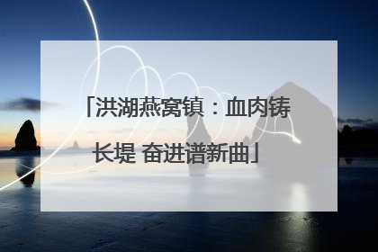 洪湖燕窝镇：血肉铸长堤 奋进谱新曲
