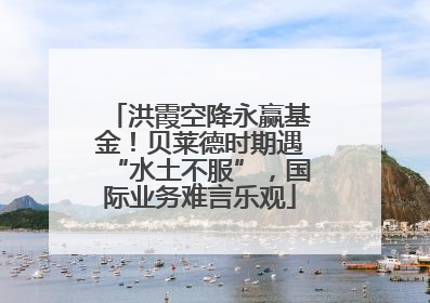 洪霞空降永赢基金！贝莱德时期遇“水土不服”，国际业务难言乐观