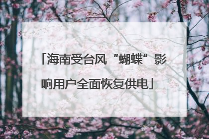 海南受台风“蝴蝶”影响用户全面恢复供电