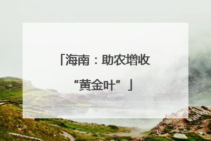海南：助农增收 “黄金叶”