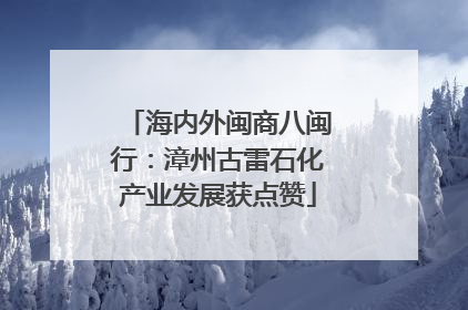 海内外闽商八闽行：漳州古雷石化产业发展获点赞