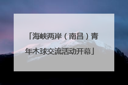 海峡两岸（南昌）青年木球交流活动开幕