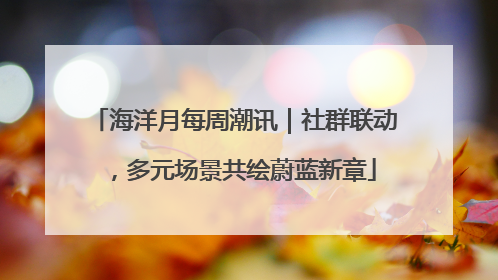 海洋月每周潮讯｜社群联动，多元场景共绘蔚蓝新章