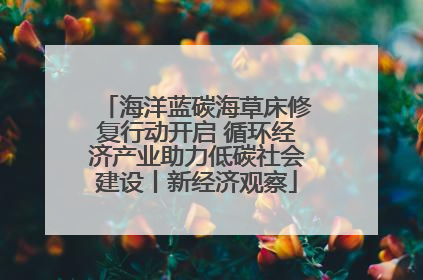 海洋蓝碳海草床修复行动开启 循环经济产业助力低碳社会建设丨新经济观察