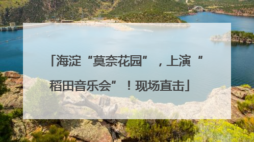 海淀“莫奈花园”，上演“稻田音乐会”！现场直击