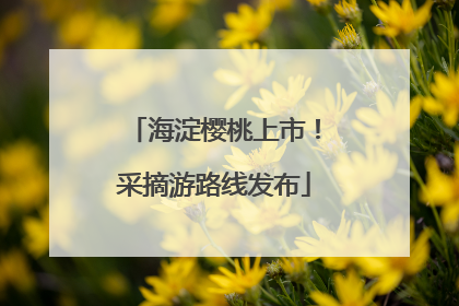 海淀樱桃上市！采摘游路线发布