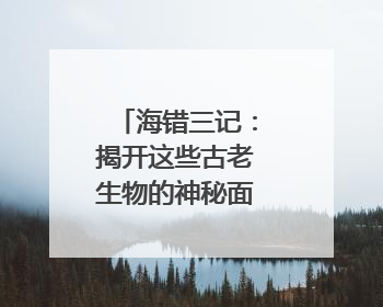 海错三记：揭开这些古老生物的神秘面纱｜盛文强