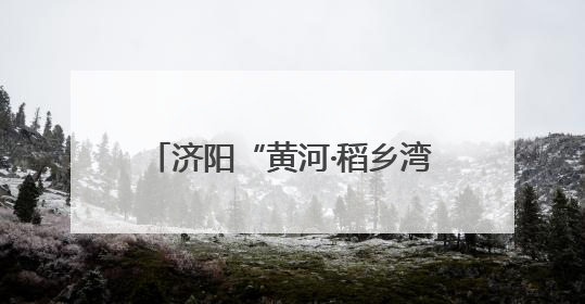 济阳“黄河·稻乡湾”片区：稻荷飘香、善治惠民、青春激扬
