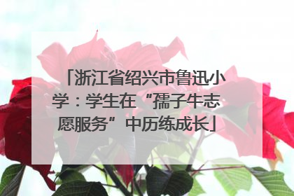 浙江省绍兴市鲁迅小学：学生在“孺子牛志愿服务”中历练成长